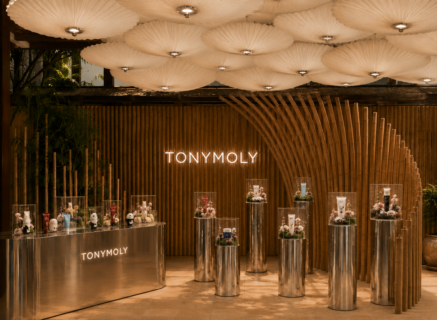 Korean Code — TONY MOLY